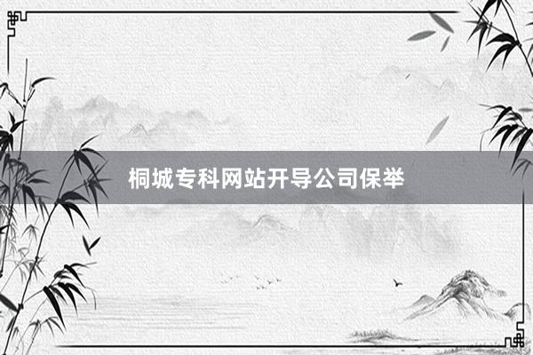 桐城专科网站开导公司保举